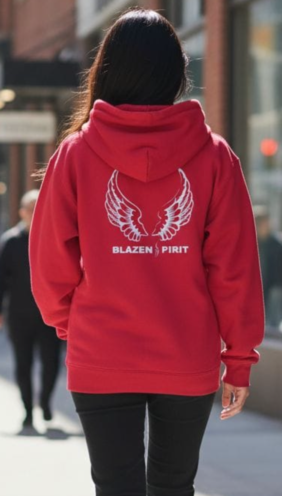 Blazen Spirit Kevlar Lined / CE2 Armor Protective Hoodie Casual wear